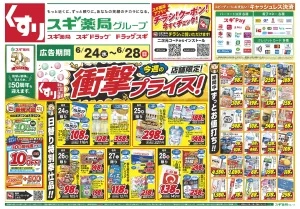 チラシのご案内のチラシ画像