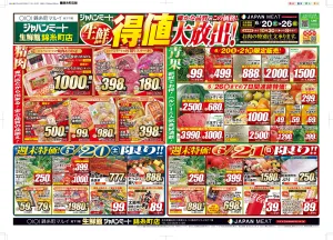 6月20日号のチラシ画像