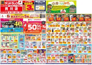 6月4週目のチラシ画像