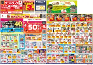 6月4週目のチラシ画像