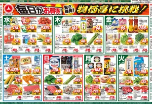生鮮3部門が最強タッグ結成！生鮮BigSale！のチラシ画像