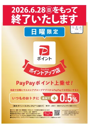 【終了いたします】日曜PayPayポイントキャンペーンのチラシ画像