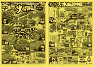 6月23日(火)〜6月24日(水)のチラシ画像
