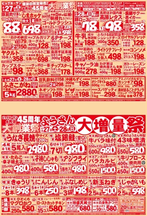 ビッグヨーサン6月は45周年大創業祭！感謝の限定特売のチラシ画像