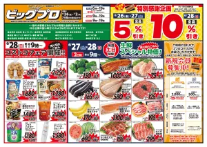 ビッグプロのチラシ画像
