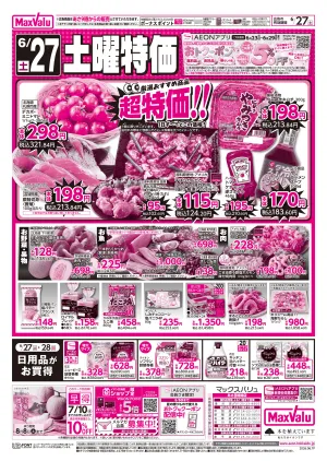 27日土曜特価　28日はおトクな1day特別家計応援！のチラシ画像