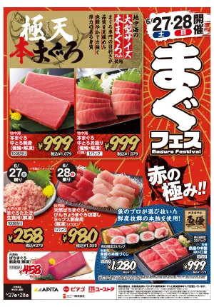 6月27日(土)〜6月28日(日)のチラシ画像