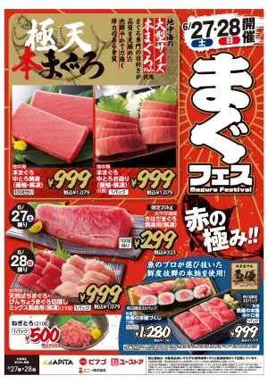 6月27日(土)〜6月28日(日)のチラシ画像