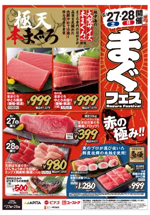 6月27日(土)〜6月28日(日)のチラシ画像