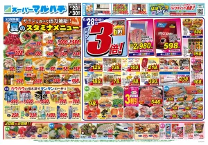 2026年06月28日〜30日のチラシ画像
