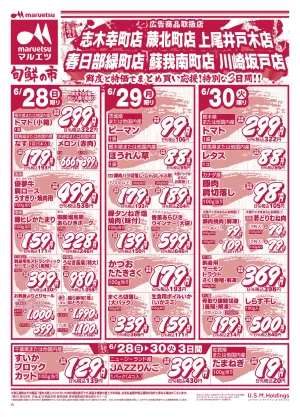 6月28日〜6月30日　チラシ情報のチラシ画像