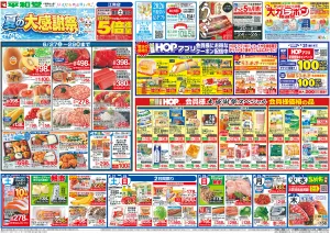 6/27（土）〜夏の大感謝祭のチラシ画像