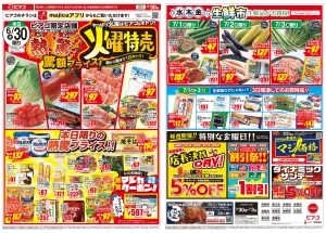 6月30日(火)〜7月3日(金)のチラシ画像
