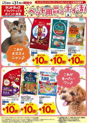 お買い得セールのご案内！！のチラシ画像