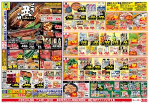 土用の丑の日！！のチラシ画像