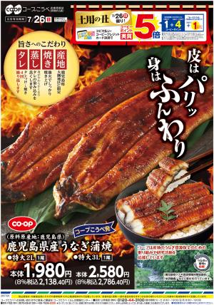 土用の丑のチラシ画像