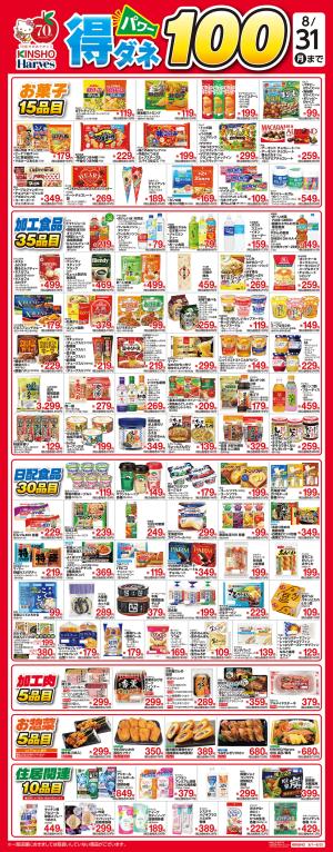 得ダネパワー100のチラシ画像