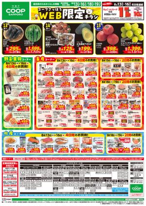 WEB限定チラシのチラシ画像