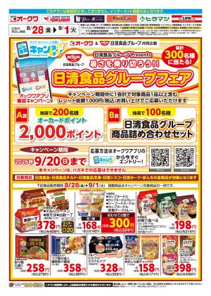 日清食品グループフェア_のチラシ画像