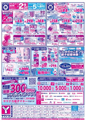 8/27-28　日替りご奉仕のチラシ画像