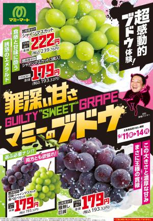 9月11日~9月14日 超感動的ブドウ体験!のチラシ画像