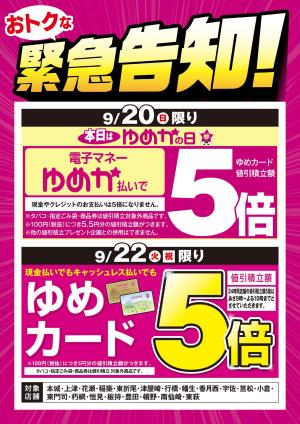 おトクな緊急告知！のチラシ画像