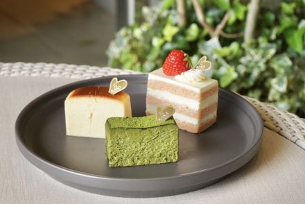 【4/26 NEW OPEN】1F And KAKA cheesecake store