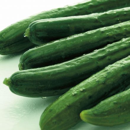 清々しい季節！5月のおすすめ旬食材！