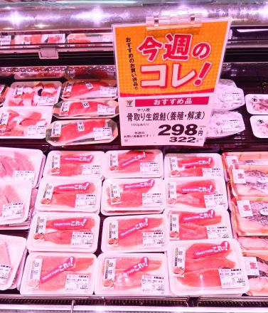 今週のおすすめです！