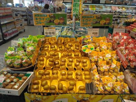 本日のオススメ!!