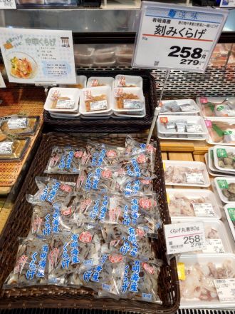 本日のおすすめは！！
