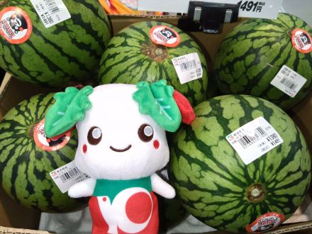 ≪小玉すいか≫がお勧めです！