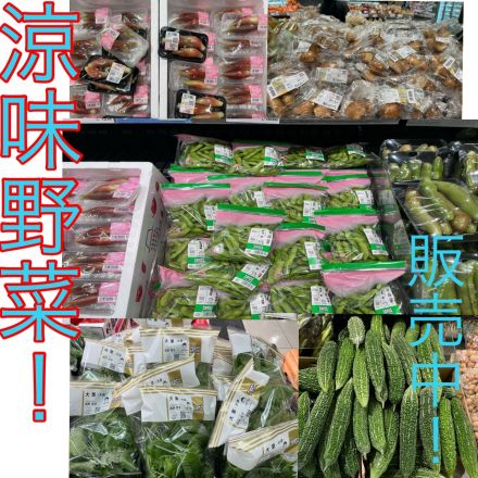 涼味野菜！！