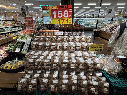 嘉穂の肉厚生椎茸　試食販売のお知らせ！