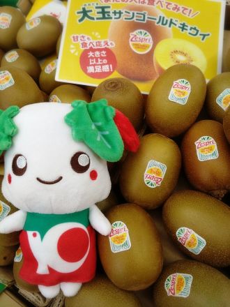 ＜サンゴールドキウイ＞がお勧めです！_