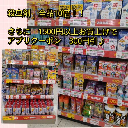 ☆特招会　お買い得企画☆