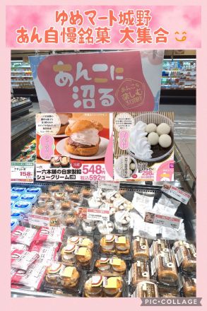 ☆あんこに沼る☆