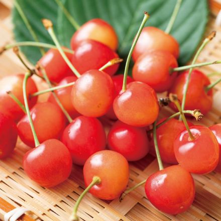梅雨をのりきろう！6月のおすすめ旬食材！