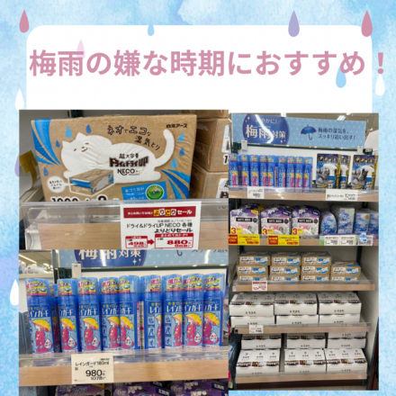 嫌な梅雨の時期におすすめです！