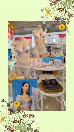 トリンプより新作のご案内☆
