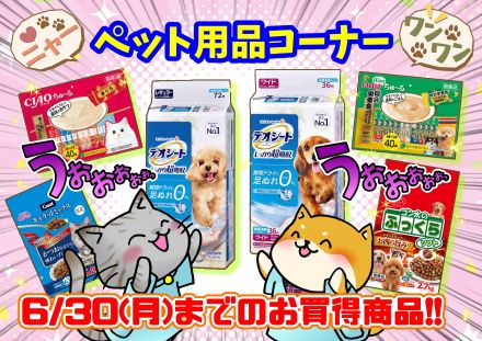 【6/30まで】ペットコーナーお買い得商品!!
