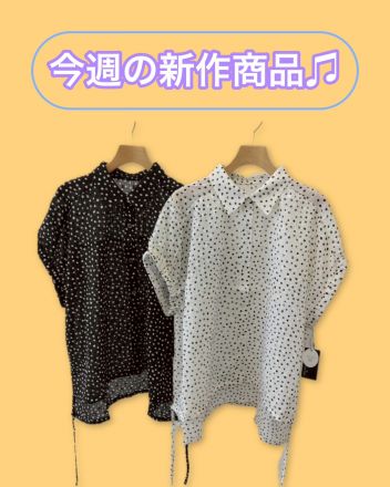 【プラチノロッサ】早くも大人気のドットブラウスです♪