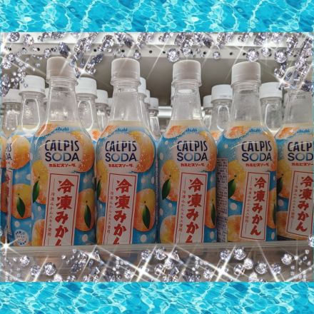 爽やかで甘ずっぱい炭酸飲料