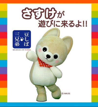 ピノッキースパティオにさすけが来るよ！！