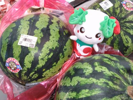 愛知県産のすいかはいかがですか？_
