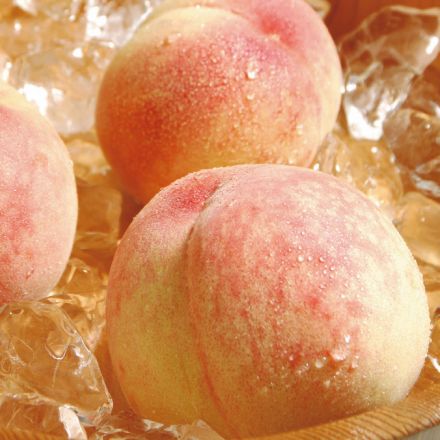 夏到来！7月のおすすめ旬食材！