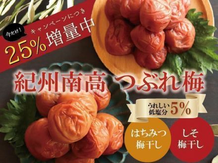 【7月限定増量中！】紀州南高梅の梅干し