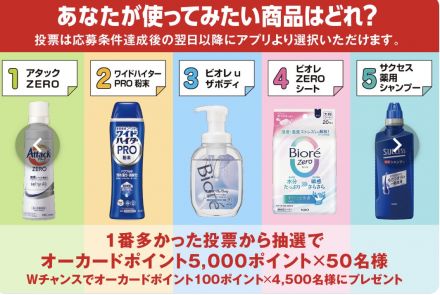 『花王フェアー』のご案内_