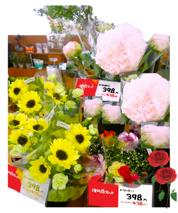 お花でリフレッシュ♪　(*^▽^*)』_