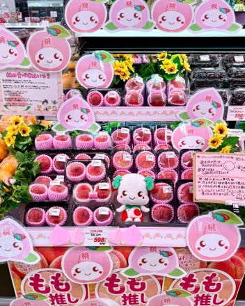 ＊：.｡☆もも推し☆。.:＊_